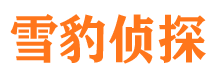 灵川侦探公司